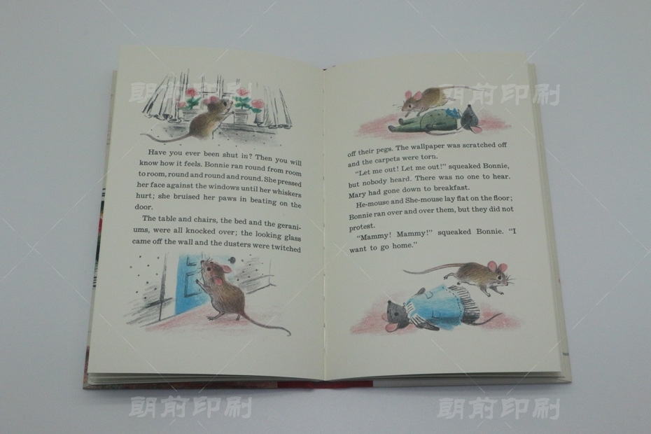 廣州設(shè)計(jì)印刷畫冊公司 廣州圖文畫冊制作公司