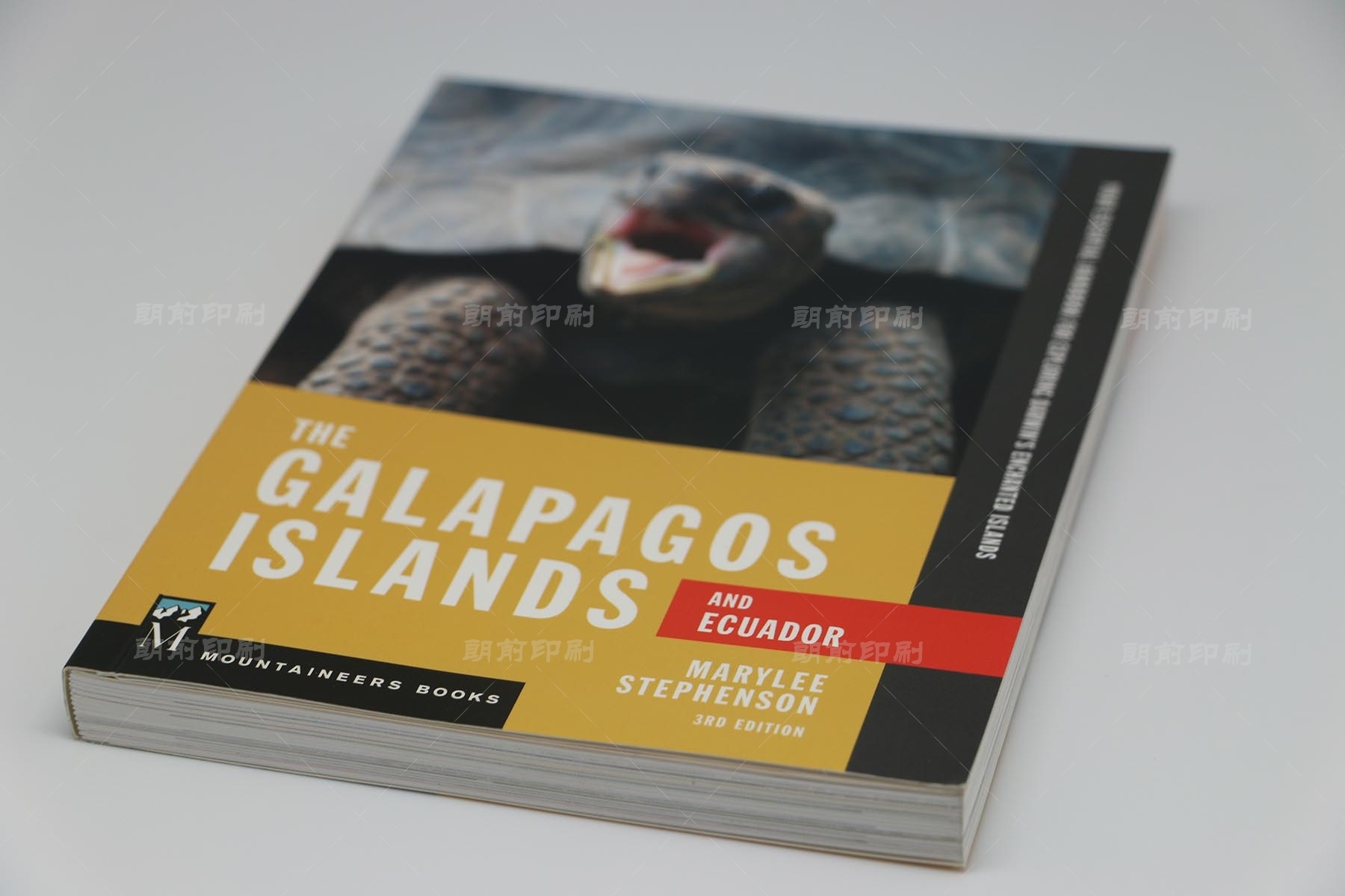 廣州活動(dòng)畫(huà)冊(cè)制作公司 廣州畫(huà)冊(cè)彩頁(yè)設(shè)計(jì)印刷