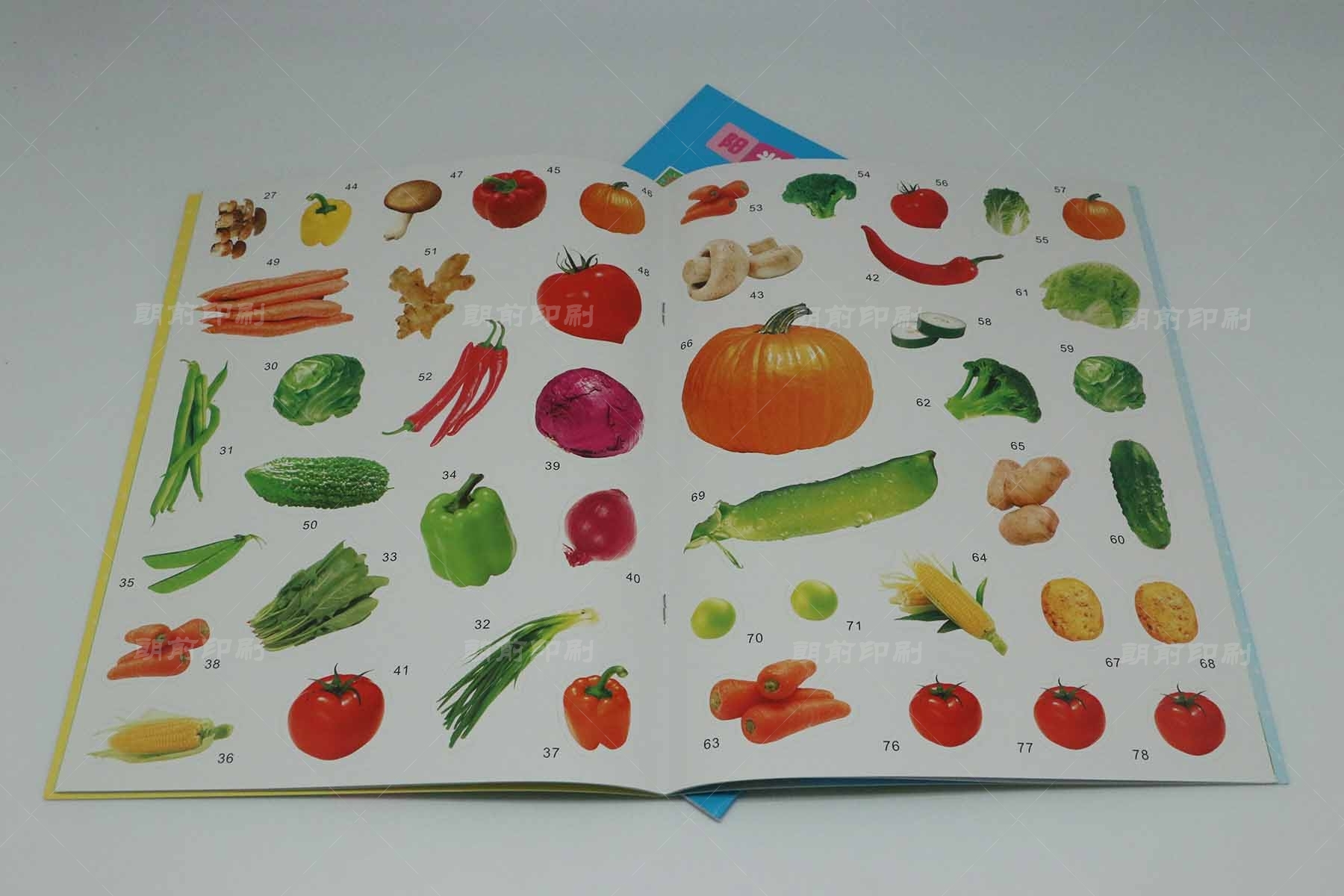 廣州印刷畫冊多少本 廣州提供畫冊印刷價(jià)格