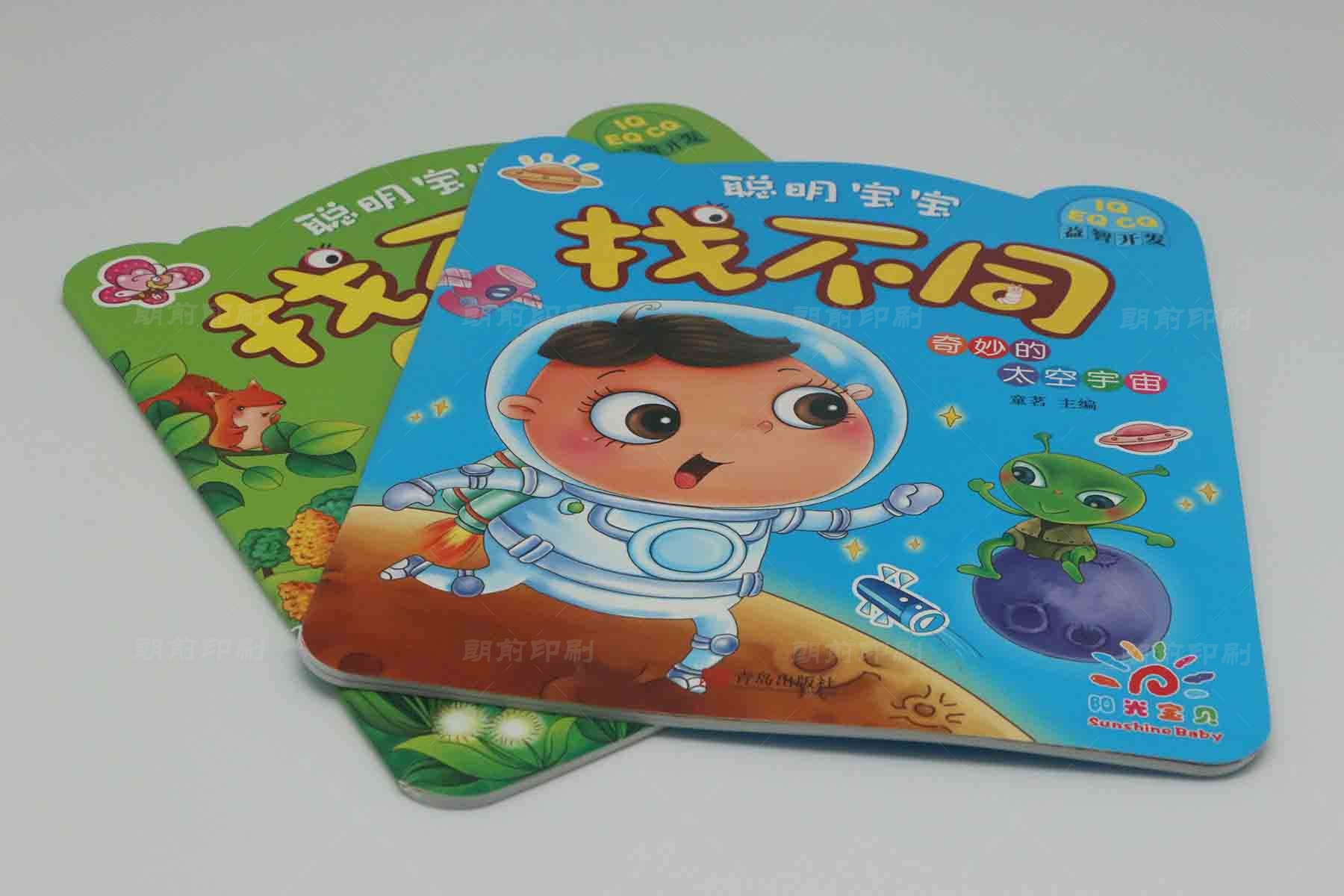 廣州樣本畫冊印刷價格 廣州精品畫冊設(shè)計(jì)制作