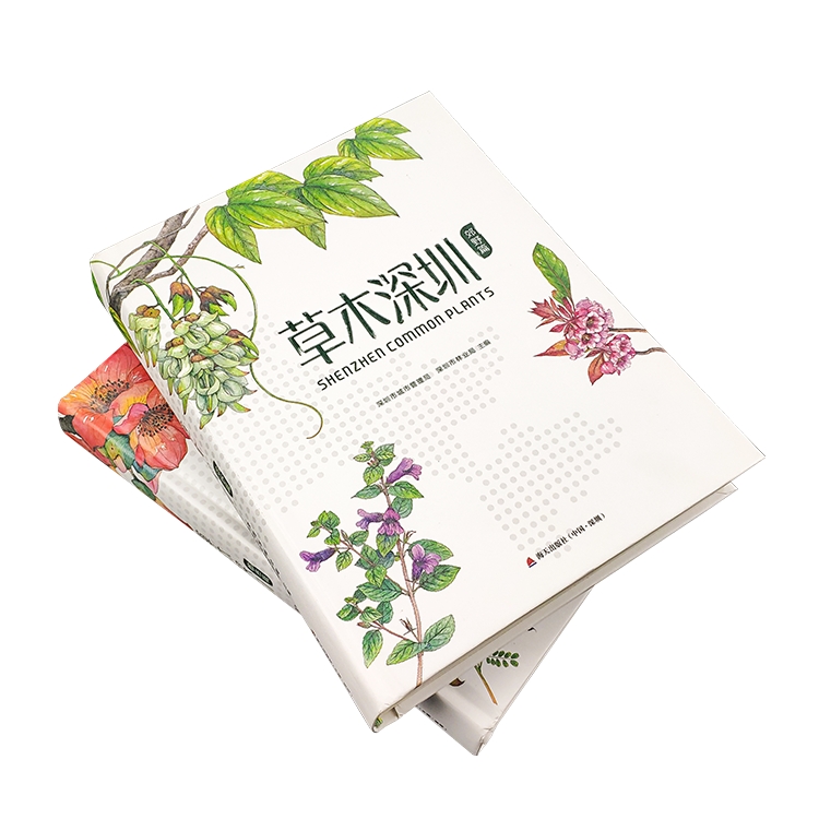 廣州民宿畫冊設計制作 廣州印畫冊的印刷公司