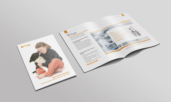 廣州特種紙畫(huà)冊(cè)印刷公司 廣州公司宣傳畫(huà)冊(cè)設(shè)計(jì)印刷