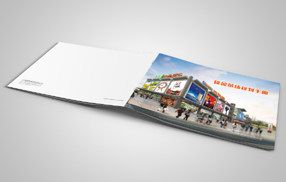 廣州廣告畫冊設(shè)計(jì)制作 廣州企業(yè)畫冊印刷供應(yīng)