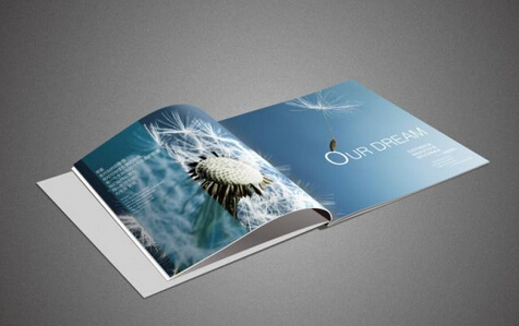 廣州專業(yè)畫冊印刷價(jià)格 廣州產(chǎn)品畫冊印刷圖片